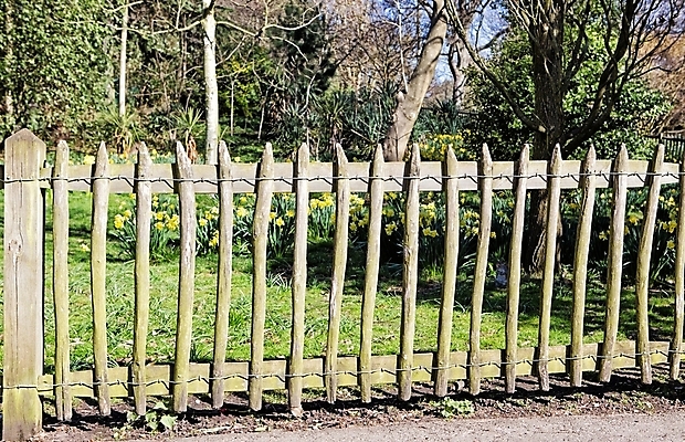 포토 JPG 해외이미지 나무 계절 공원 백그라운드 잎 패턴 밭 자연 풍경 잔디 사람없음 야외 목재 가로 세로 초록색 울타리 농장 정원 맑음 봄 못 재산 질감 철사 내추럴 뒤뜰 옛날 해외202004 해외포토 식물 공공시설 컬러 무늬 농업 재료 날씨 금융 담장 공구 생태계 파일형식 이미지허브