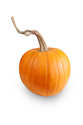 포토 JPG 해외이미지 계절 음식 채소 호박 사람없음 세트 할로윈 수확 가을 흰색 신선 변화 배열 흰배경 유기농 추수감사절 건강식 고립 숙성 채식주의자 해외202004 비건음식 해외포토 웰빙 기독교 컬러 백그라운드 컨셉 농업 채식 파일형식 비건 이미지허브