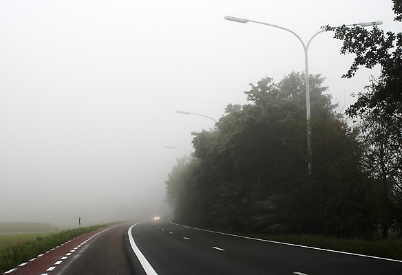 포토 JPG 해외이미지 나무 도로 길 이동 가로등 자동차 자연 거리 풍경 사람없음 빛 우주 마을 자전거 운전 안개 램프 보행자 생태계 타운 사이클링 루트 방법 뿌연 생태학 해외202004 해외포토 식물 공공시설 교육 육상교통 컨셉 교통시설 모션 날씨 조명 바이크 도시 육상스포츠 파일형식 이미지허브