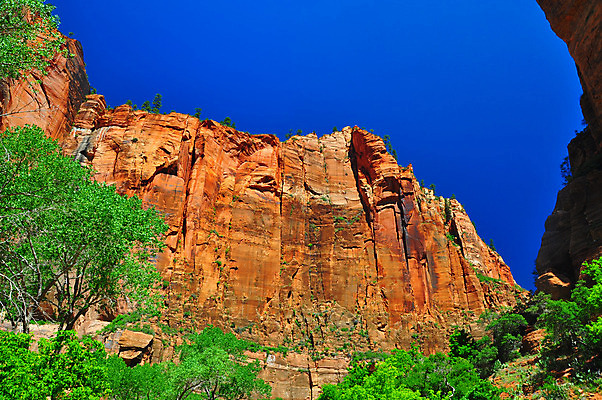 포토 JPG 해외이미지 응시 공원 도로 여행 자연 하늘 휴가 파노라마 풍경 사람없음 빨간색 파란색 여행객 평화 골짜기 계곡 미국 침묵 운전 바위 사찰 황무지 엽서 사암 시온산 전국 절정 지질학 해외202004 해외포토 시선 공공시설 교육 길 컬러 컨셉 북아메리카 종교건축 교통시설 모션 촬영기법 사람 소리 돌_바위 편지 생태계 파일형식 이미지허브