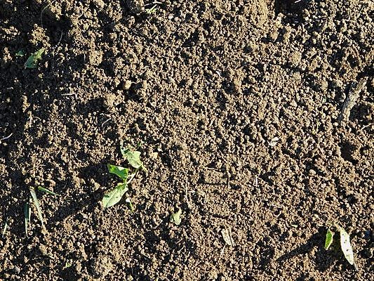 포토 JPG 해외이미지 지구 백그라운드 패턴 밭 농업 자연 이끼 잔디 사람없음 갈색 환경 정원 검은색 어둠 흙 성장 닫기 보호 땅 묘사 유기농 원예 질감 먼지 지역 진흙 국산 내추럴 그런지 땅바닥 밭일 세련 해외202004 해외포토 식물 웰빙 산업 컬러 컨셉 무늬 모션 바닥 취미 생태계 파일형식 이미지허브