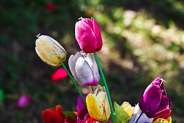 포토 JPG 해외이미지 식물 디자인 꽃 꽃다발 백그라운드 꽃무늬 창문 자연 유리 탁자 주택 실내 선물 사람없음 내부 장식 빨간색 초록색 빛 컬러풀 꽃병 활발 방 흰색 오픈 고급 대나무 심플 내추럴 거짓 인공 스타일 해외202004 해외포토 나무 컬러 가구 컨셉 무늬 재질 건물 생태계 파일형식 이미지허브