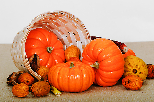 포토 JPG 해외이미지 전통 계절 꽃 음식 줄기 백그라운드 잎 채소 오렌지 자연 탁자 호박 휴가 건강 옥수수 사람없음 장식 컬러풀 농장 노란색 바구니 저녁식사 할로윈 견과류 수확 껍질 가을 흰색 축하 신선 황금 11월 오브젝트 박 추수감사절 10월 내추럴 고립 숙성 해외202004 해외포토 식물 기독교 컬러 가구 컨셉 농업 과일 곡류 식사 날짜 생태계 파일형식 이미지허브