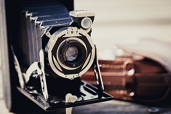 포토 JPG 해외이미지 디자인 백그라운드 사람없음 수확 필름 오브젝트 복고 셔터 스타일 해외202004 해외포토 농업 파일형식 이미지허브