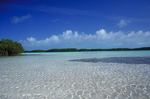 포토 JPG 해외이미지 구름 선 모래 파도 바다 섬 여행 백그라운드 하늘 휴가 풍경 사람없음 가로 초록색 물 여름 파란색 태양 평화 꿈 무료 베네수엘라 파라다이스 수평선 해외202004 해외포토 자연요소 계절 컬러 컨셉 남아메리카 파일형식 이미지허브