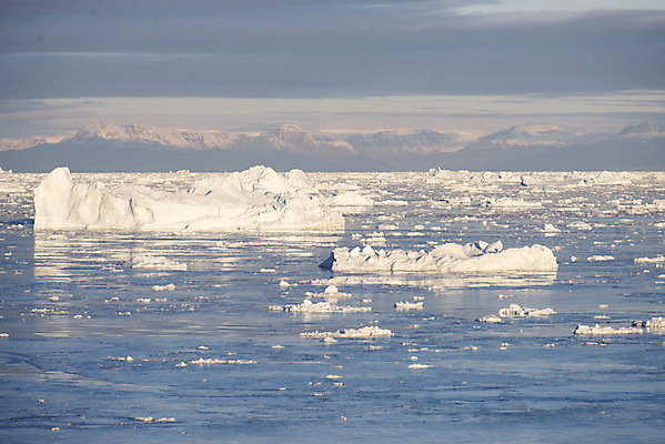 포토 JPG 해외이미지 바다 섬 여행 자연 하늘 덴마크 사람없음 물 파란색 글로벌 환경 냉동 얼음 추위 흰색 남극 북극 빙하 부드러움 봉 북쪽 내추럴 그린란드 완벽 해외202004 해외포토 자연요소 컬러 컨셉 북유럽 감각 극지방 방향 생태계 파일형식 이미지허브