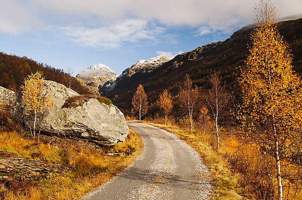 포토 JPG 해외이미지 나무 구름 계절 도로 오렌지 날씨 산 따뜻함 노르웨이 풍경 사람없음 햇빛 태양 맑음 가을 시골 숲 좁은 암초 자작나무 굴곡 스칸디나비아 절정 해외202004 해외포토 자연요소 식물 유럽 길 과일 교통시설 파일형식 이미지허브
