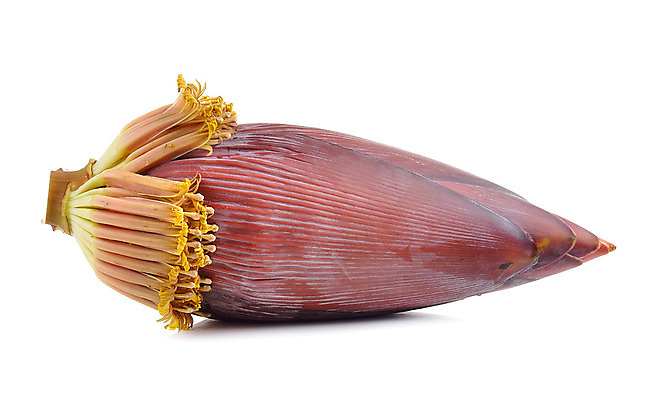 포토 JPG 해외이미지 나무 식물 꽃잎 꽃 음식 분홍색 백그라운드 잎 꽃무늬 농업 채소 과일 자연 바나나 건강 사람없음 초록색 정원 샐러드 성장 벚꽃 흰색 신선 다발 묘사 유기농 날것 고립 해외202004 해외포토 웰빙 산업 컬러 무늬 생태계 파일형식 이미지허브