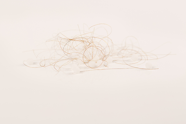 포토 JPG 해외이미지 사람없음 뷰티 머리카락 흰배경 탈모 탈모클리닉 해외202004 탈모예방 해외포토 백그라운드 머리 흰색 예방 클리닉 증상 파일형식 이미지허브