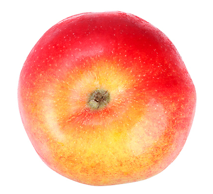 포토 JPG 해외이미지 1 라이프스타일 계절 음식 백그라운드 채소 오렌지 과일 재료 자연 건강 그림자 사람없음 빨간색 여름 농장 노란색 정원 수확 가을 흰색 신선 달콤 사과 먹기 가득함 오브젝트 싱글 날것 고립 숙성 채식주의자 유일 해외202004 해외포토 컬러 농업 모션 생활 맛 생태계 채식 파일형식 이미지허브