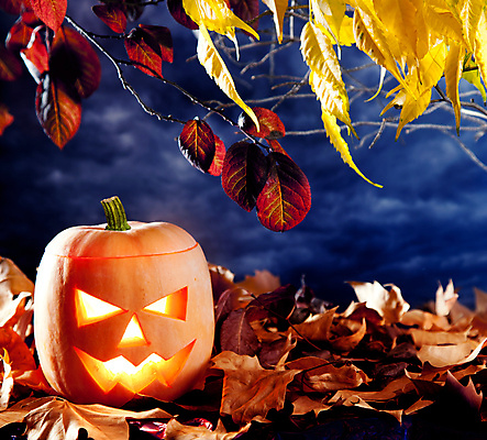 JPG 해외이미지 단풍 낙엽 호박 사람없음 할로윈 오브젝트 잭오랜턴 해외202004 해외포토 포토 잎 채소 파일형식 이미지허브