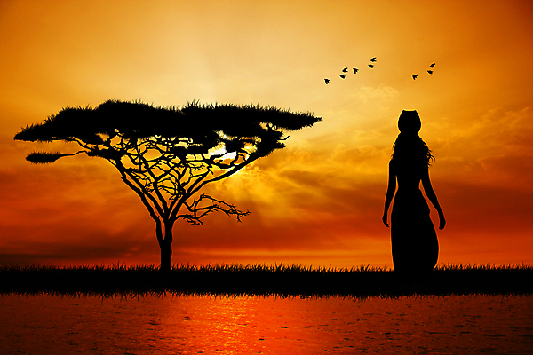 포토 JPG 해외이미지 나무 실루엣 문화 백그라운드 오렌지 일러스트 아프리카 사람 사람없음 물 반사 일몰 원주민 사파리 케냐 부족 마사이족 해외202004 해외포토 자연요소 식물 나라 컨셉 과일 촬영기법 노을 아프리카인 파일형식 이미지허브