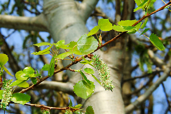 포토 JPG 해외이미지 사람없음 해외202004 해외포토 파일형식 이미지허브