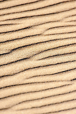 포토 JPG 해외이미지 모양 선 모래 파도 백그라운드 바람 추상 사람없음 여름 닫기 해외202004 해외포토 자연요소 계절 바다 무늬 모션 날씨 파일형식 이미지허브