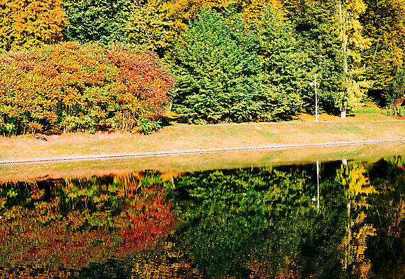 포토 JPG 해외이미지 나무 식물 계절 공원 호수 여행 백그라운드 단풍 잎 밭 오렌지 자연 하늘 휴식 풍경 사람없음 야외 목재 빨간색 초록색 물 파란색 강 컬러풀 햇빛 반사 노란색 평화 맑음 침묵 가을 시골 연못 황금 숲 9월 장면 10월 내추럴 해외202004 해외포토 자연요소 공공시설 컬러 컨셉 농업 과일 재료 날씨 태양 소리 날짜 생태계 파일형식 이미지허브