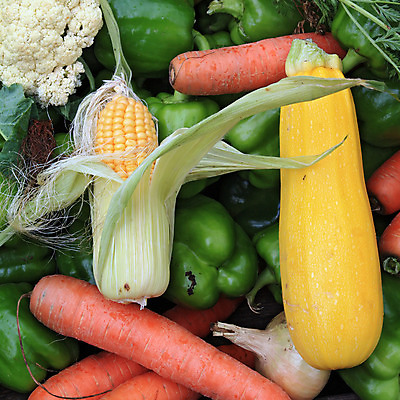 포토 JPG 해외이미지 줄기 백그라운드 농업 채소 오렌지 과일 재료 양파 마늘 옥수수 사람없음 가로 초록색 빛 반사 바구니 우주 침묵 활발 당근 할로윈 수확 종 가을 흰색 그룹 변화 시장 브로콜리 수집 배열 가득함 오브젝트 유기농 날것 슛 문학 후추 슈퍼마켓 멀티 비트 숙성 여의주 해외202004 해외포토 식물 웰빙 계절 산업 컬러 컨셉 곡류 뿌리채소 상점 소리 향신료 파일형식 이미지허브