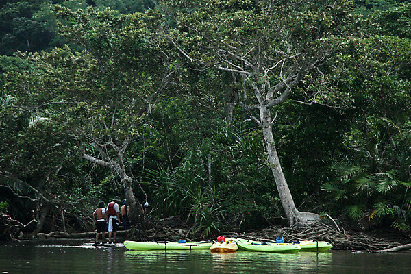 포토 JPG 해외이미지 공원 아시아 스포츠 섬 사람없음 물 강 여행객 일본 보트 숲 수로 카누 카약 남쪽 전국 해외202004 해외포토 자연요소 공공시설 나라 배_교통 사람 수상스포츠 방향 파일형식 이미지허브