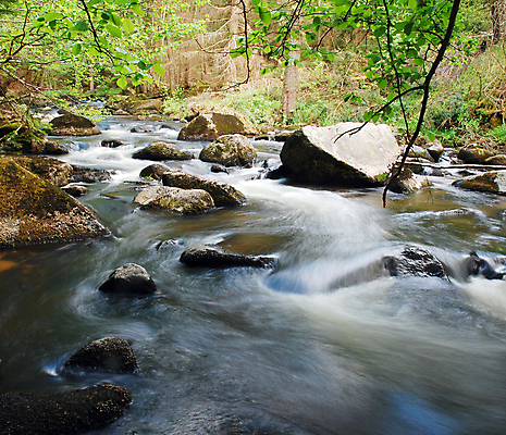 포토 JPG 해외이미지 나무 계절 공원 잎 모션 자연 산 이끼 풍경 사람없음 야외 목재 초록색 물 강 평화 환경 침묵 봄 폭포 젖음 흐름 가을 바위 신선 개울 떨어짐 숲 장면 내추럴 무료 해외202004 해외포토 자연요소 식물 공공시설 컬러 컨셉 재료 소리 돌_바위 생태계 파일형식 이미지허브