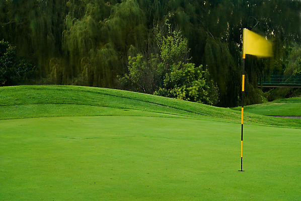 포토 JPG 해외이미지 스포츠 여행 골프 자연 바람 풍경 잔디 취미 사람없음 야외 초록색 여름 노란색 맑음 침묵 경쟁 게임 시골 깃발 우승 오픈 구멍 강의 은퇴 독수리 타격 해외202004 해외포토 자연요소 식물 계절 컬러 컨셉 모션 놀이 조류 날씨 구기 소리 최고 생태계 파일형식 이미지허브