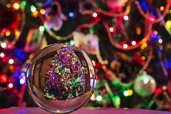 포토 JPG 해외이미지 나무 전통 계절 행복 리본 백그라운드 크리스마스 겨울 공 유리 휴가 새로움 기념 선물 이벤트 사람없음 장식 가로 초록색 파란색 빛 노란색 축제 장식볼 나뭇가지 축하 원형 신용카드 황금 12월 크리스탈 연도 전나무 여의주 가문비나무 해외202004 해외포토 도형 식물 기념일 감정 컬러 컨셉 재질 금융 날짜 광석 파일형식 이미지허브