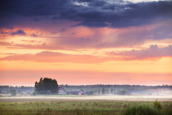 포토 JPG 해외이미지 나무 계절 밭 자연 하늘 주택 풍경 사람없음 목재 빨간색 초록색 여름 노란색 우주 마을 환경 맑음 일몰 봄 젖음 안개 시골 신선 저녁 숲 땅 장면 폭풍 벨로루시 변소 해외202004 해외포토 식물 컬러 농업 재료 날씨 건물 노을 야간 생태계 파일형식 이미지허브
