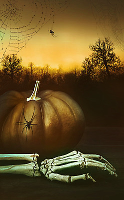 포토 JPG 해외이미지 손 계절 음식 채소 오렌지 호박 뼈 실내 사람없음 야외 목재 장식 세로 칠판 할로윈 가을 시골 날것 정물화 카피스페이스 해외202004 해외포토 나무 과일 재료 내부 신체부위 공백 그림 파일형식 이미지허브