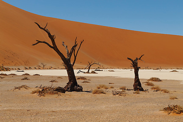 포토 JPG 해외이미지 파도 여행 아프리카 하늘 건조 파노라마 국립공원 풍경 사람없음 빨간색 여름 파란색 갈색 사막 모래언덕 소금 먼지 나미비아 숨기 칼라하리 해외202004 해외포토 계절 공원 나라 바다 컬러 모션 촬영기법 언덕 남아프리카 파일형식 이미지허브