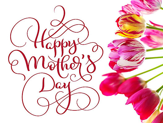 포토 JPG 해외이미지 백그라운드 캘리그라피 사람없음 튤립 어머니의날 해외202004 해외포토 기념일 꽃 미국문화 파일형식 이미지허브