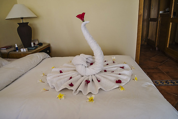 포토 JPG 해외이미지 모양 아이콘 디자인 일러스트 베개 조류 추상 휴가 미술 사람없음 그래픽 세트 수건 침실 흰색 침대 직물 심볼 사인 심플 시트 매트리스 엘리먼트 해외202004 해외포토 동물 컬러 가구 무늬 침구 문화예술 위생용품 파일형식 이미지허브