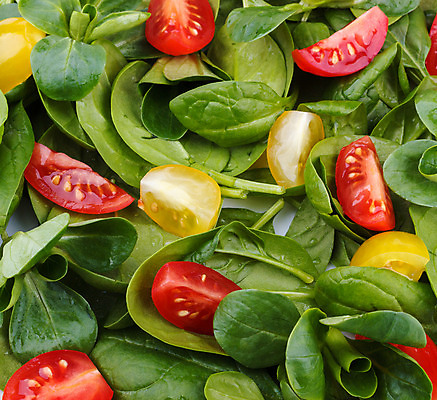 포토 JPG 해외이미지 접시 음식 잎 다이어트 채소 방울토마토 건강 사람없음 빨간색 초록색 노란색 식사 저녁식사 샐러드 신선 아침식사 혼합 유기농 날것 시금치 점심식사 채식주의자 비건 해외202004 해외포토 식물 식기 웰빙 컬러 토마토 채식 파일형식 이미지허브