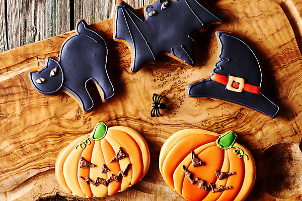 포토 JPG 해외이미지 백그라운드 탁자 디저트 사람없음 장식 쿠키 고양이 할로윈 가을 달콤 거미 박쥐 마녀모자 잭오랜턴 핸드메이드 호러 나무배경 해외202004 해외포토 모자_잡화 계절 음식 가구 곤충 포유류 반려동물 맛 공포 파일형식 이미지허브