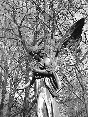 포토 JPG 해외이미지 조각 날개 천사 사람없음 조각상 검은색 바위 흰색 죽음 역사 이별 애도 기념물 천연기념물 옛날 해외202004 해외포토 컬러 컨셉 조형물 돌_바위 파일형식 이미지허브