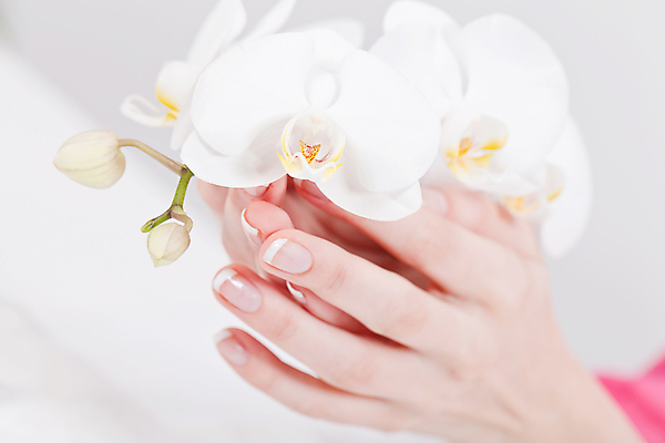 포토 JPG 해외이미지 라이프스타일 손 여자 꽃 백그라운드 꽃무늬 손가락 휴식 건강 관리 사람없음 치료 빛 노란색 상점 스파 페인트 화장품 벚꽃 흰색 마사지 못 액체 고급 우아함 떨어짐 손톱관리 손톱 미용사 피부 순수 흰배경 광택 테라피 내추럴 프랑스어 니스 돌봄 해외202004 해외포토 식물 직업 문자 컬러 컨셉 무늬 의학 모션 사람 생활 신체부위 뷰티 공구 네일아트 파일형식 이미지허브