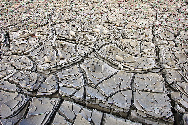 포토 JPG 해외이미지 식물 지구 모래 백그라운드 패턴 자연 표면 날씨 추상 건조 사람없음 글로벌 갈색 환경 흙 손상 사막 죽음 뜨거움 거친 균열 땅 부식 질감 먼지 점토 지역 진흙 가뭄 다리찢기 내추럴 그런지 깨짐 땅바닥 생태학 재앙 지질학 해외202004 해외포토 교육 컬러 컨셉 무늬 모션 바닥 생태계 파일형식 이미지허브