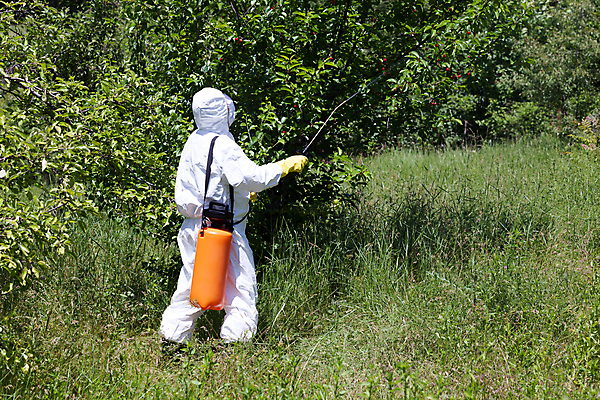 포토 JPG 해외이미지 나무 안경 잎 농업 과일 건강 가면 사람없음 치료 가로 초록색 농장 환경 장비 성장 잡기 작업 해충 농부 위험 과수원 땅 뿌리기 탱크 스프레이 분무기 펌프 거름 농약 화학물질 세련 해외202004 해외포토 식물 직업 잡화 산업 컬러 컨셉 의학 모션 화학 벌레 파일형식 이미지허브