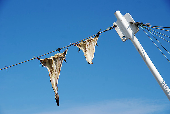 포토 JPG 해외이미지 구름 유럽 모래 파도 여행 자연 하늘 낚시 바람 날씨 휴가 덴마크 어류 풍경 사람없음 물 여름 파란색 맑음 만 어선 보트 모래언덕 어장 스칸디나비아 수평선 해외202004 해외포토 자연요소 계절 나라 바다 컬러 배_교통 레저 북유럽 수중동물 언덕 생태계 파일형식 이미지허브