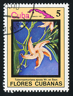 포토 JPG 해외이미지 식물 꽃잎 꽃 자연 봉투 취미 사람없음 수확 신용카드 메시지 편지 수집 복고 생물학 주소 우표 옛날 해외202004 해외포토 교육 농업 금융 생태계 파일형식 이미지허브