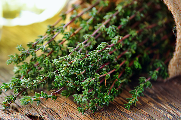 포토 JPG 해외이미지 식물 음식 백그라운드 잎 재료 자연 건강 요리 사람없음 목재 초록색 약 정원 흰색 신선 맛 다발 허브 향신료 유기농 아로마 향 아로마테라피 내추럴 백리향 해외202004 해외포토 나무 웰빙 컬러 컨셉 의학 생태계 테라피 향미료 파일형식 이미지허브