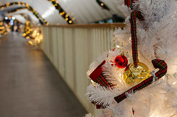 포토 JPG 해외이미지 나무 식물 계절 백그라운드 잎 크리스마스 겨울 자연 불 휴가 새로움 사람없음 장식 초록색 빛 축제 활발 나뭇가지 축하 소나무 신용카드 황금 소프트포커스 숲 12월 연도 묘사 질감 보케 상록수 내추럴 해외202004 해외포토 자연요소 기념일 컬러 컨셉 촬영기법 금융 날짜 생태계 파일형식 이미지허브