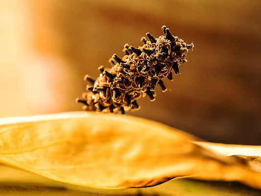 포토 JPG 해외이미지 식물 1 꽃 백그라운드 오렌지 사람없음 장식 파란색 노란색 흰색 닫기 내추럴 이국적 해외202004 해외포토 컬러 과일 모션 파일형식 이미지허브