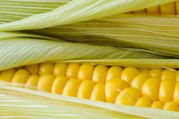 포토 JPG 해외이미지 농업 다이어트 채소 건강 옥수수 사람없음 초록색 노란색 수확 신선 황금 달콤 낟알 유기농 날것 내추럴 해외202004 해외포토 웰빙 산업 컬러 곡류 맛 파일형식 이미지허브