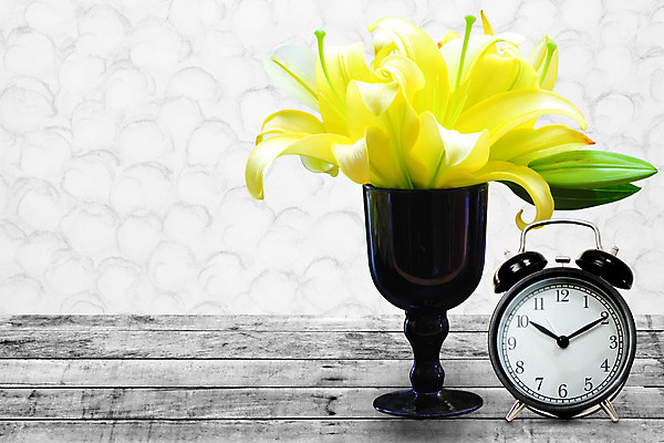 포토 JPG 해외이미지 식물 디자인 계절 꽃잎 꽃 시계 줄기 백그라운드 꽃무늬 패턴 자연 벽지 사람없음 목재 초록색 노란색 머리 꽃병 봄 활발 수확 벚꽃 흰색 신선 항아리 개화 우아함 묘사 질감 내추럴 칼라꽃 카피스페이스 해외202004 해외포토 나무 컬러 컨셉 무늬 농업 재료 신체부위 공백 도자기 생태계 파일형식 이미지허브