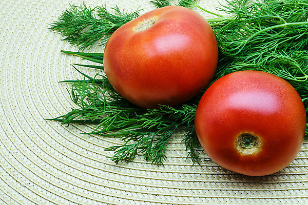 포토 JPG 해외이미지 계절 음식 컨셉 잎 농업 다이어트 토마토 채소 재료 자연 탁자 가지 양파 오이 프레임 건강 요리 사람없음 목재 빨간색 초록색 여름 상자 컬러풀 농장 세일 우주 상점 주방 저녁식사 침묵 당근 샐러드 젖음 흰색 신선 아침식사 상추 먹기 원예 양배추 지역 부추 추수감사절 국산 유지 슈퍼마켓 내추럴 점심식사 딜 밭일 비트 숙성 주키니 채식주의자 총각무 회향 비건 해외202004 해외포토 나무 식물 산업 기독교 컬러 가구 모션 뿌리채소 취미 식사 소리 무 생태계 채식 파일형식 이미지허브