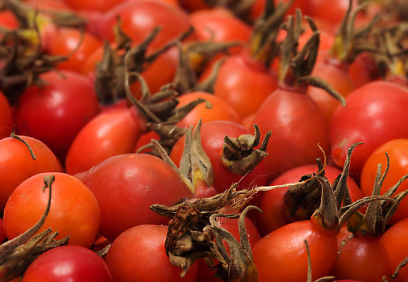 포토 JPG 해외이미지 식물 계절 열매 음식 백그라운드 패턴 농업 다이어트 오렌지 과일 재료 벽지 건강 식이요법 사람없음 빨간색 빛 농작물 장미 쌓기 수확 가을 신선 그룹 달콤 엉덩이 유기농 질감 날것 흙더미 내추럴 고립 생식 숙성 해외202004 해외포토 웰빙 꽃 산업 컬러 무늬 모션 신체부위 흙 맛 파일형식 더미 이미지허브