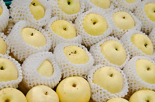 포토 JPG 해외이미지 아시아 음식 백그라운드 과일 회사 한국 건강 동양인 사람없음 노란색 일본 중국 흰색 신선 원형 그룹 달콤 다발 대만 유기농 숙성 이국적 많음 해외202004 해외포토 도형 웰빙 나라 컬러 컨셉 비즈니스 인종 맛 파일형식 이미지허브