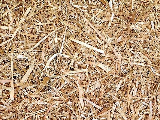 포토 JPG 해외이미지 식물 음식 백그라운드 밭 농업 자연 사람없음 농작물 농장 노란색 쌓기 수확 시골 볏짚 시리얼 밀 질감 밀짚 해외202004 해외포토 산업 컬러 모션 곡류 짚 생태계 파일형식 이미지허브