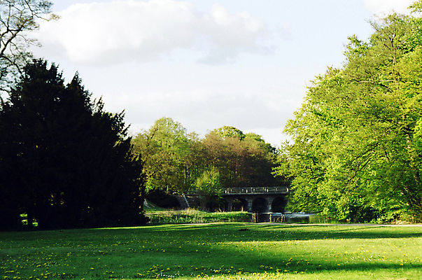 포토 JPG 해외이미지 나무 식물 공원 자연 하늘 사람없음 목재 초록색 파란색 태양 정원 일몰 저녁 해외202004 해외포토 자연요소 공공시설 컬러 재료 노을 야간 생태계 파일형식 이미지허브
