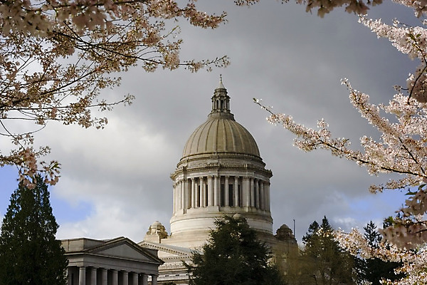 포토 JPG 해외이미지 나무 구름 건축양식 하늘 사람없음 건물 미국 봄 벚꽃 바위 기둥 체리 사암 국회 정부 화강암 해외202004 해외포토 자연요소 식물 건축물 계절 건축 꽃 북아메리카 과일 암석 돌_바위 파일형식 이미지허브