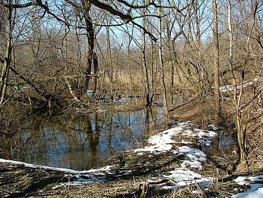 포토 JPG 해외이미지 나무 계절 공원 자연 하늘 따뜻함 풍경 사람없음 야외 물 파란색 빛 강 햇빛 태양 반사 봄 회색 연못 숲 해외202004 해외포토 자연요소 식물 공공시설 컬러 생태계 파일형식 이미지허브