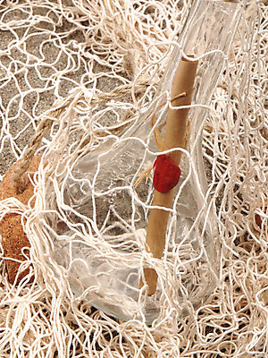 포토 JPG 해외이미지 종이 모래 파도 바다 하늘 낚시 사람없음 야외 물 우주 기록 그물 황무지 구출 물개 낭비 sos 파라다이스 해외202004 해외포토 자연요소 컨셉 포유류 레저 바다동물 도움 구조요청 파일형식 이미지허브